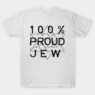 100% T-Shirt